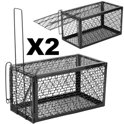 Rat trap mouse - rat,