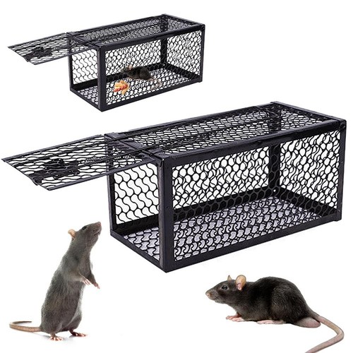 Rat trap mouse catcher humane - rat,