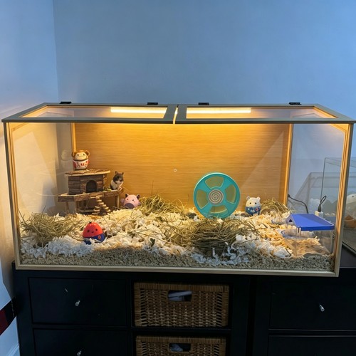 Large wooden hamster - large, cage