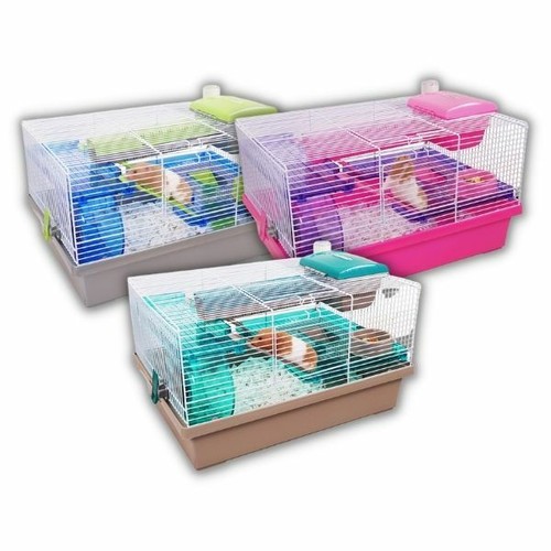 Rosewood pico hamster mice - hamster,