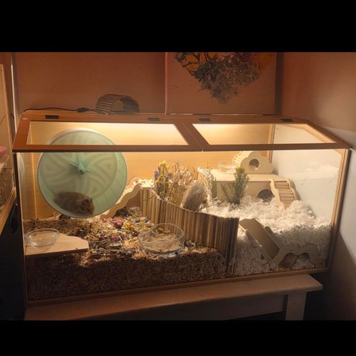 Large wooden hamster - hamster, with