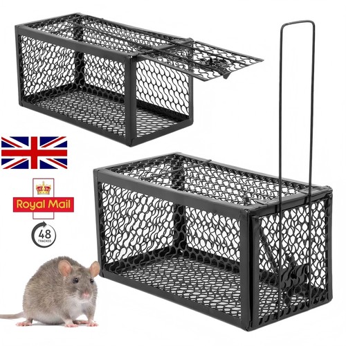 Rat trap mouse catcher - rat,