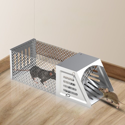 Rat squirrel cage - rat,