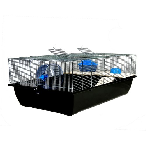 Rat hamster mice - rat, single