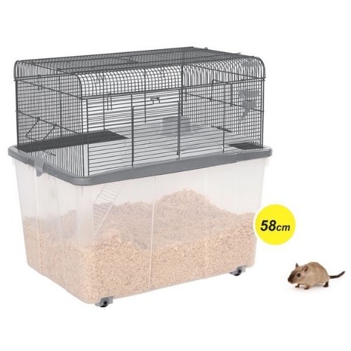 Gerbilarium tier gerbil - gerbilarium,